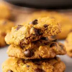 Small Batch Pumpkin Oatmeal Chocolate Chip Cookies