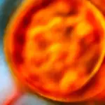 Creamy Baked Tortellini With Spinach