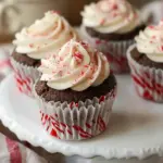 Peppermint Mocha Cupcakes Recipe